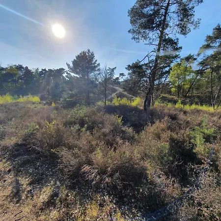 Marduijn Alpstuga Lomm