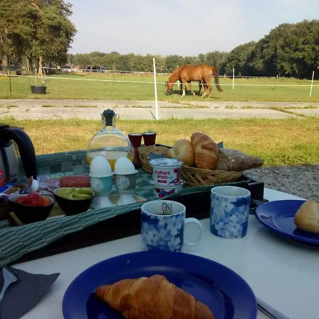 Marduijn *