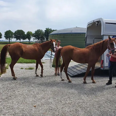 Alpstuga Marduijn Lomm