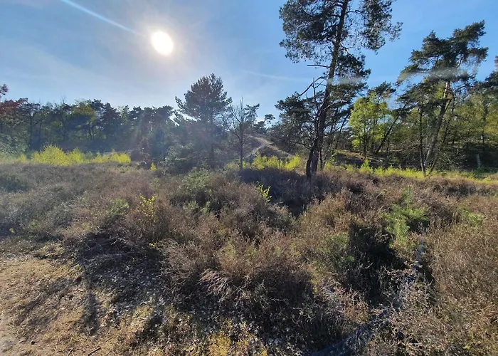 Marduijn Dağ evi Lomm