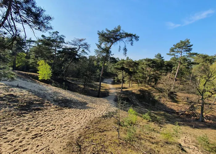 Marduijn Domek alpejski